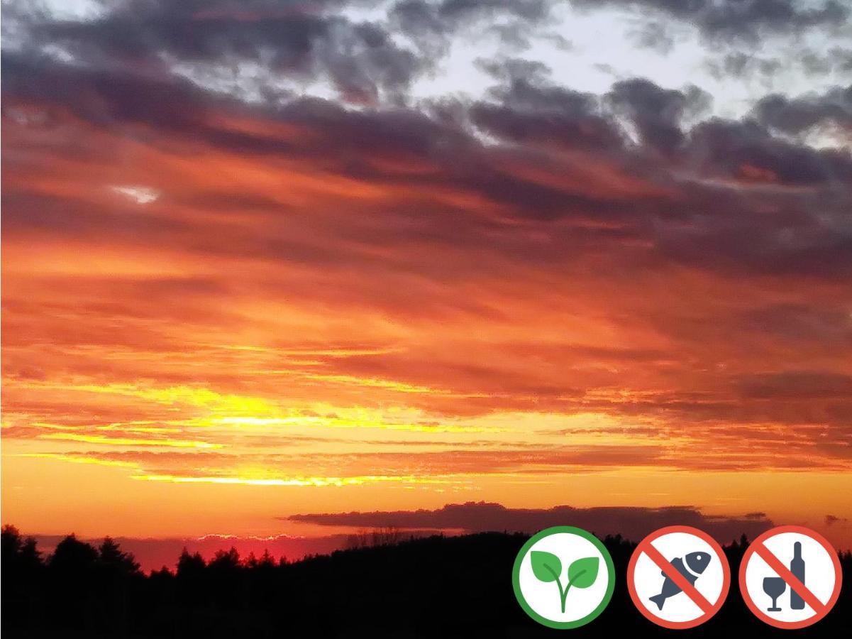 Appartamento Osada Kabardia Nowica Esterno foto